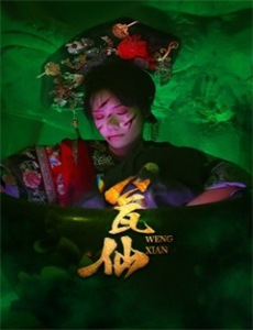 傅少的私宠罪妻2