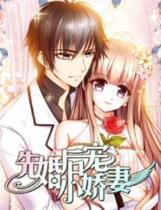 家庭自制圣诞节