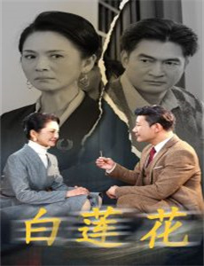 庞尼因塞尔文:第一部分