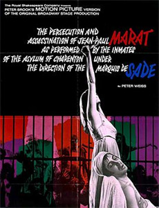 海贼王:强者世界前传